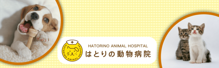 はとりの動物病院 千葉県木更津市